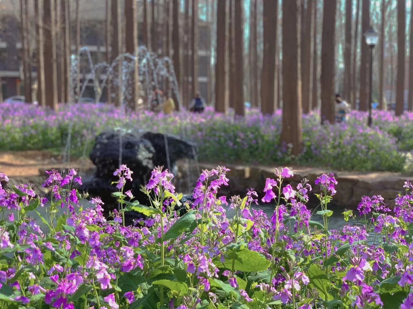 圖源：南京理工大學(xué)公共事務(wù)學(xué)院副教授沈捷