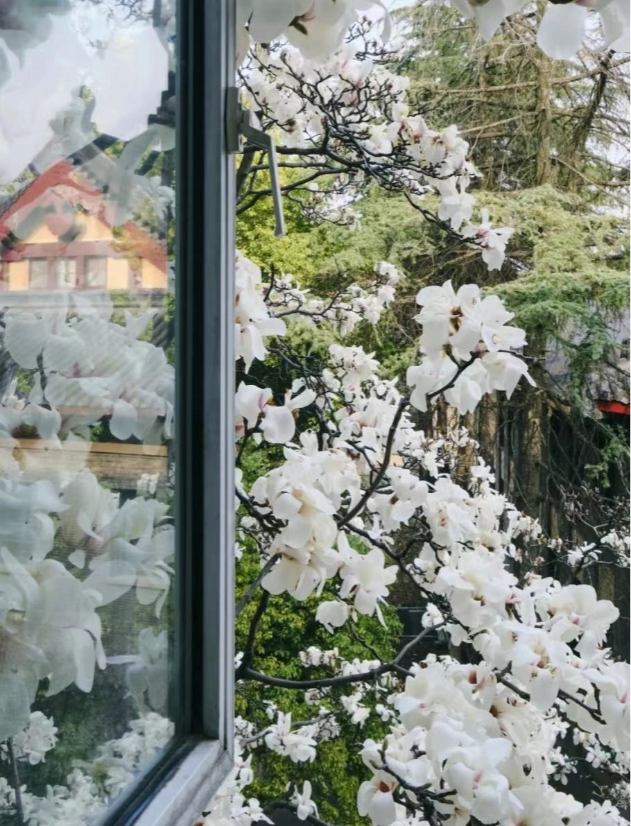 圖源：網(wǎng)友@球球凡的影像實驗室