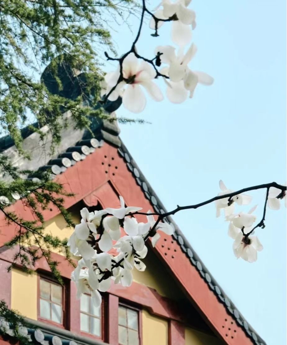 圖源：網(wǎng)友@球球凡的影像實驗室